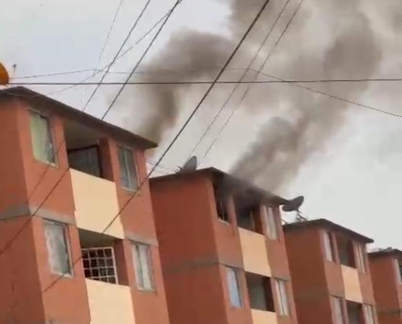 Lomito sufre quemaduras durante incendio de Texmelucan