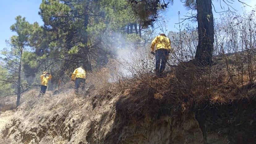 Sofocan incendio en zona boscosa de Chiautzingo