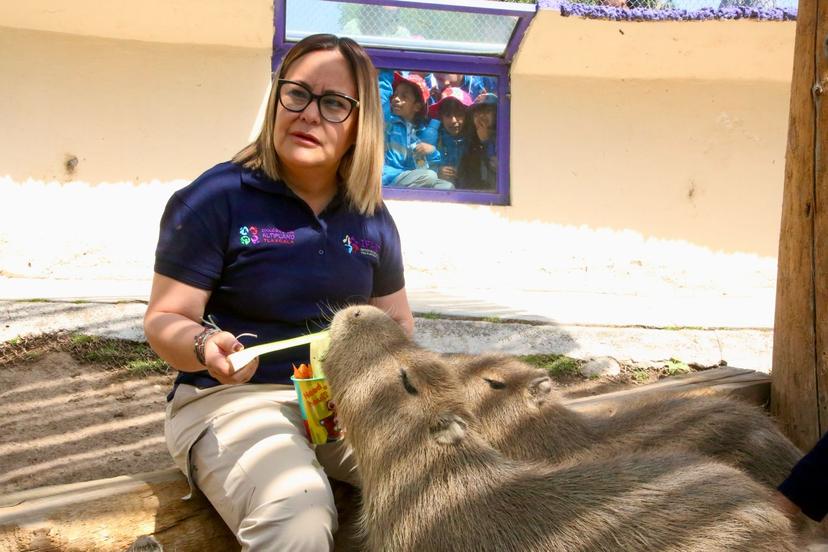 Festejará Zoológico del Altiplano a las niñas y niños en su día