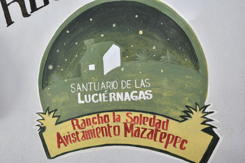 Rancho La Soledad: centro ecoturístico y protector de magueyes