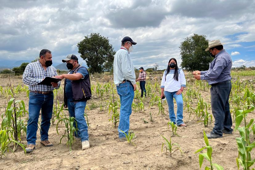 Indemniza SDR a 3 mil 400 productores por contingencias climatológicas en agosto