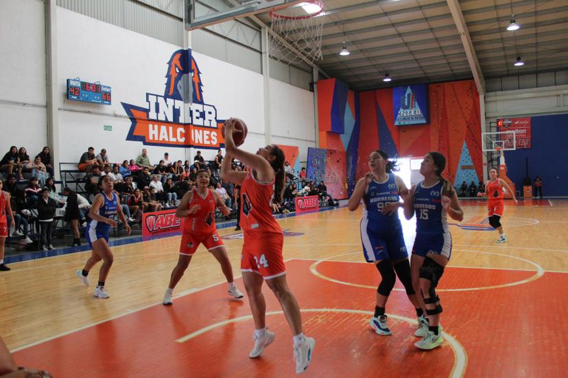 Halcones femenil liga triunfos ante Coahuila e ITESM Querétaro