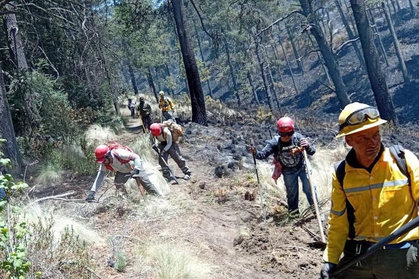 Lanzan licitación para adquirir unidades contra incendios forestales 