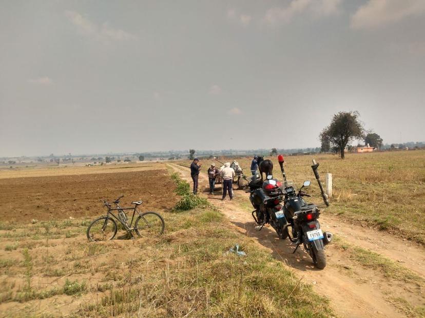 Vigilan terrenos de cultivo para evitar robos en Coronango