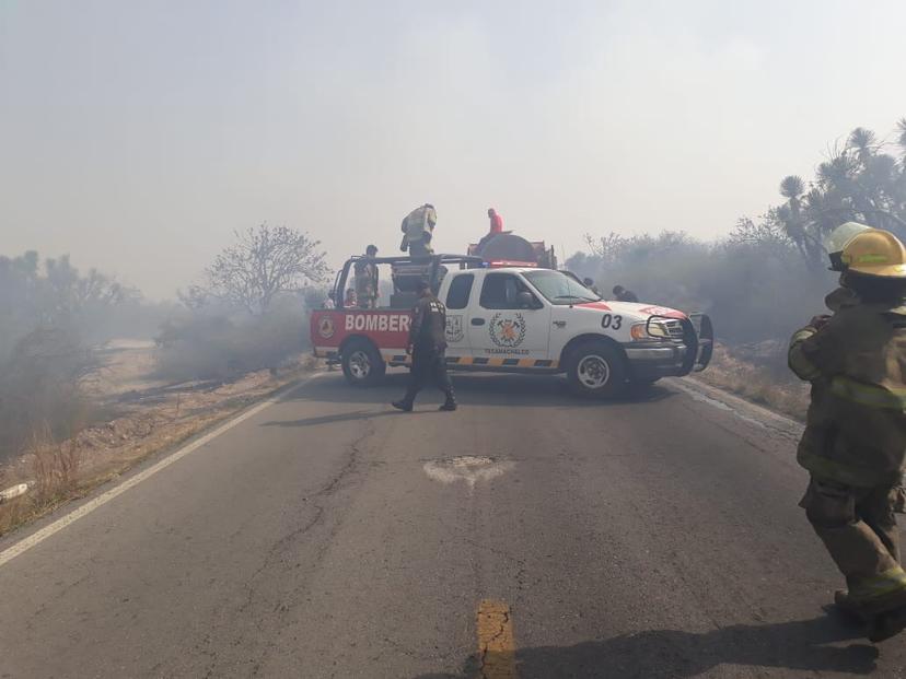 Incendio acaba con especies de más de 300 años en Xochitlán