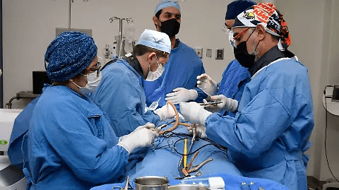 IMSS lleva con éxito primer trasplante pediátrico de corazón