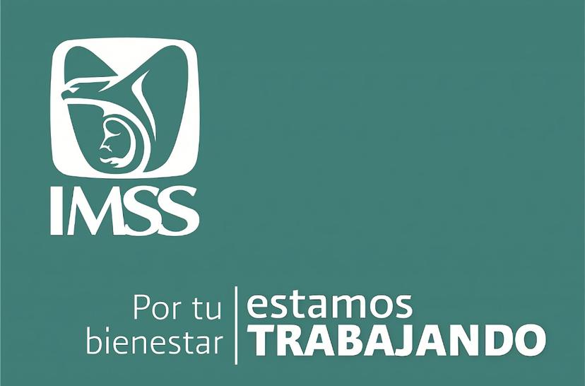 Jubilados podrán solicitar préstamos al IMSS de manera digital