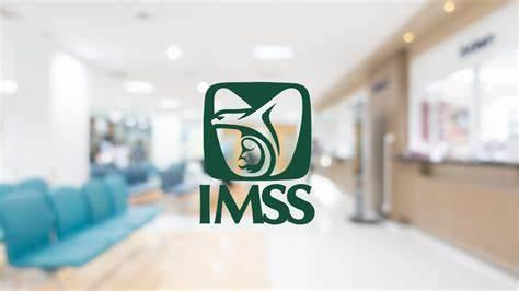 IMSS debe entregar información de víctimas de violencia sexual: INAI