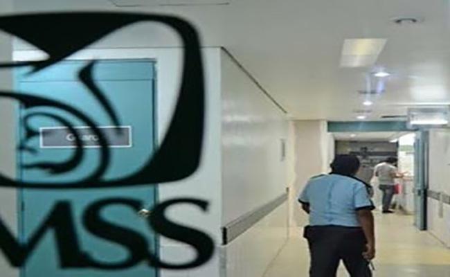 Facilita IMSS pago de cuota en línea para trabajadoras del hogar