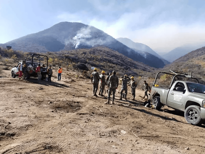 Cinco campesinos han muerto por incendio en Oaxaca