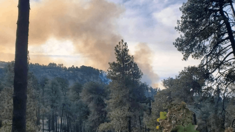 Se registra incendio en el Parque Nacional Iztaccíhuatl-Popocatépetl