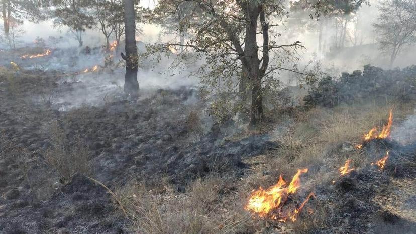 Altas temperaturas provocan incendios en Teotlalcingo