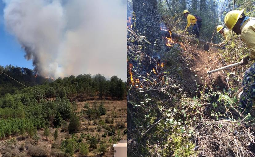 Muere voluntario que combatía incendio en Ixtacamaxtitlán