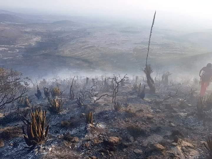 Lanza Reserva de la Biosfera campaña para prevenir incendios forestales