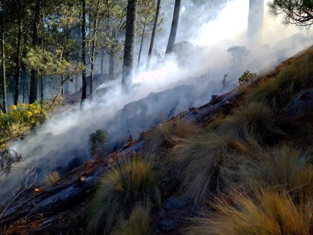 Vecinos de Teotlalcingo y El Verde trabajan en sofocar incendio