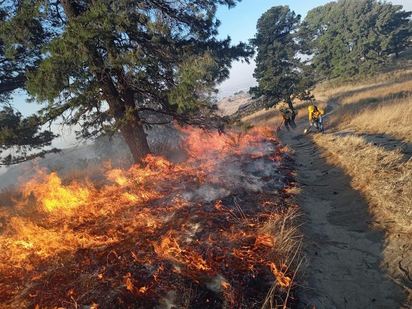 Puebla cerró primer semestre entre 10 estados con más incendios forestales