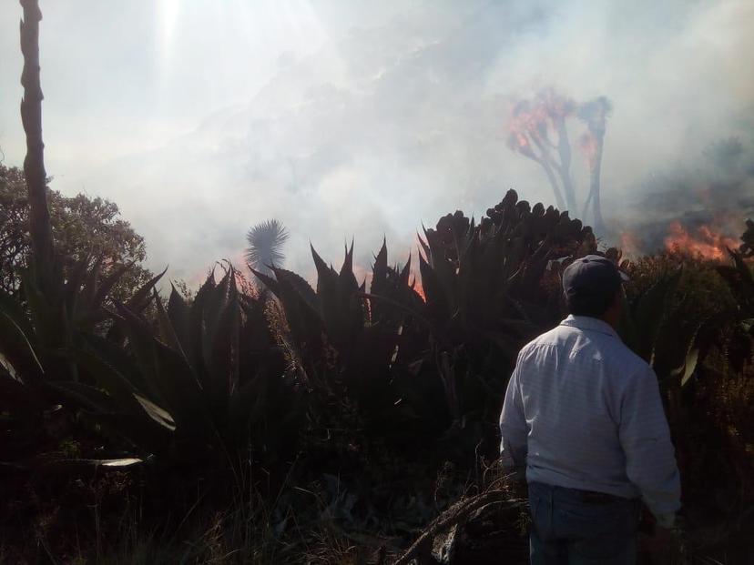 Incendio iniciado desde el domingo consume ha en Oriental