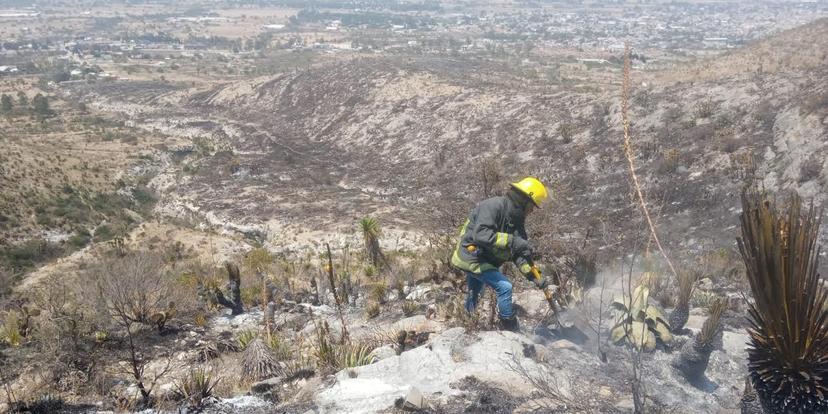 Incendio consume más de 20 ha de la Reserva de la Biósfera