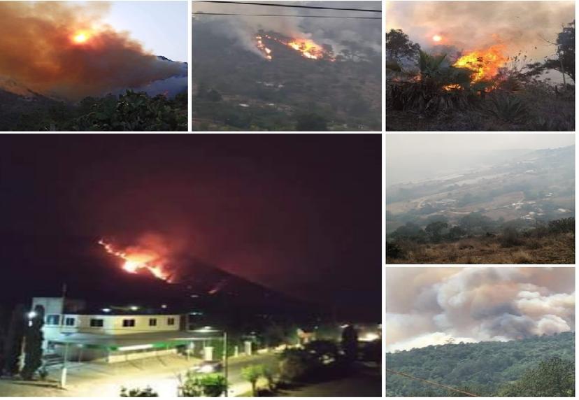 VIDEO Incendio en Tetela ha consumido 400 ha y sigue descontrolado