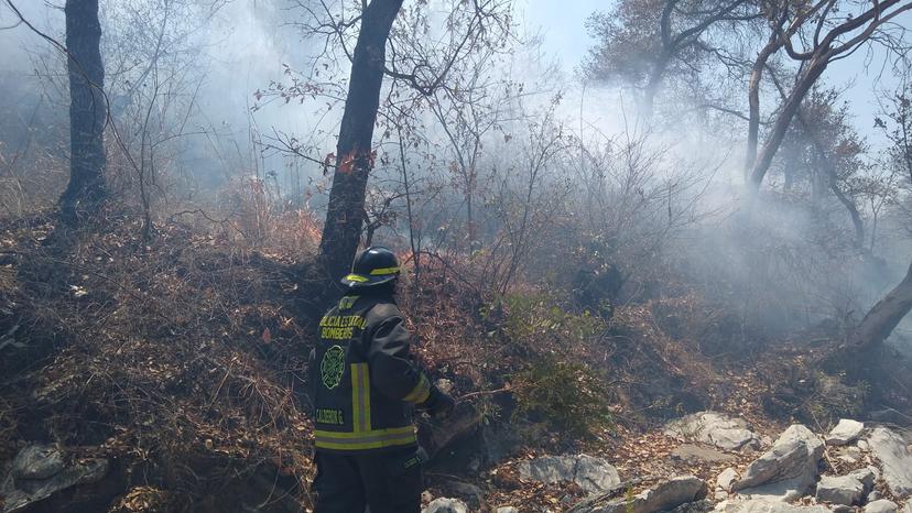 Sin controlar incendio en Bosques de Chapultepec