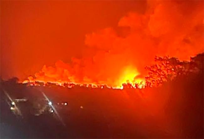 Se incendian plantas de tule de laguna de San Juan Epatlán  