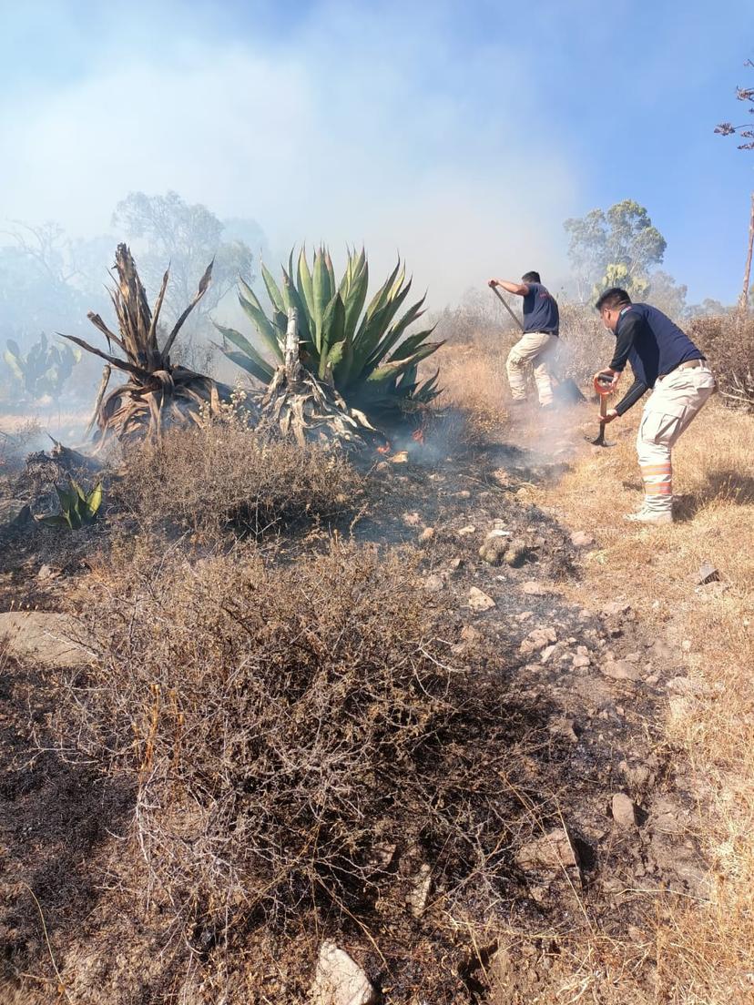 Se registra primer incendio forestal del 2021 en Tecamachalco