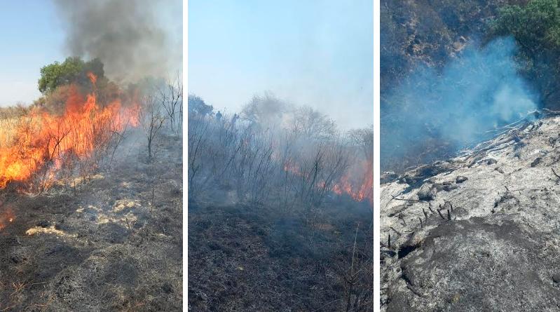 Incendio consume más de 30 hectáreas de pastizales en cerro de Texmelucan