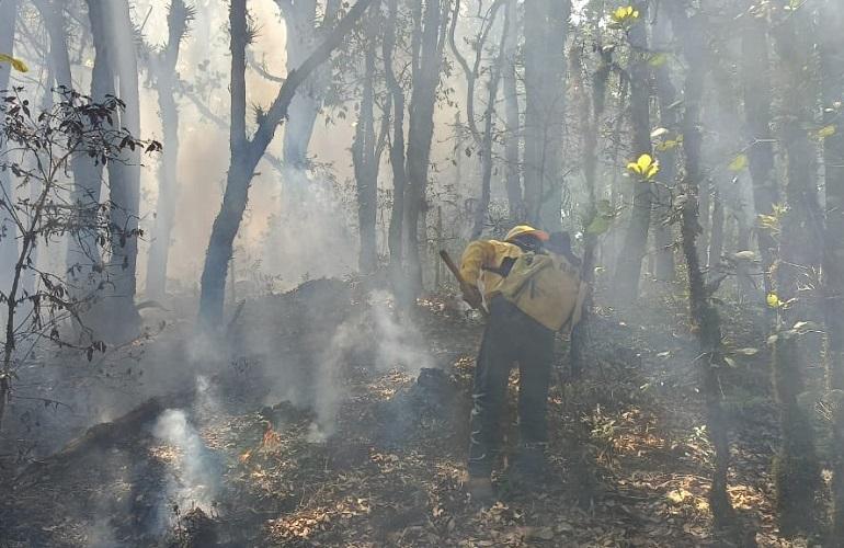 Incendio forestal en Coyomeapan ya fue liquidado, reporta Céspedes