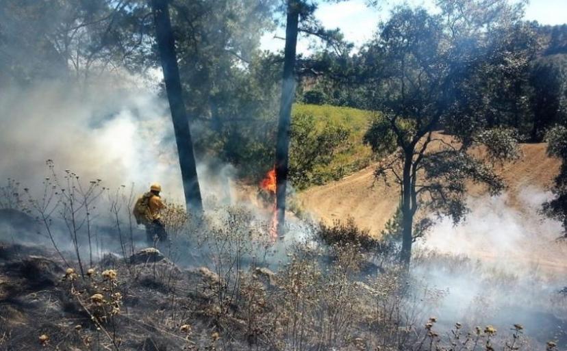 Riesgo muy alto o alto en 10 entidades por incendios forestales