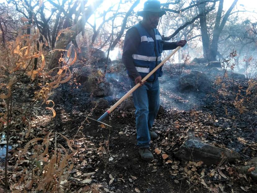 Incendios arrasan 20 hectáreas de bosque en Tochimilco