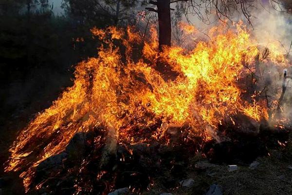 Reportan incendio en cerro de Tepeojuma