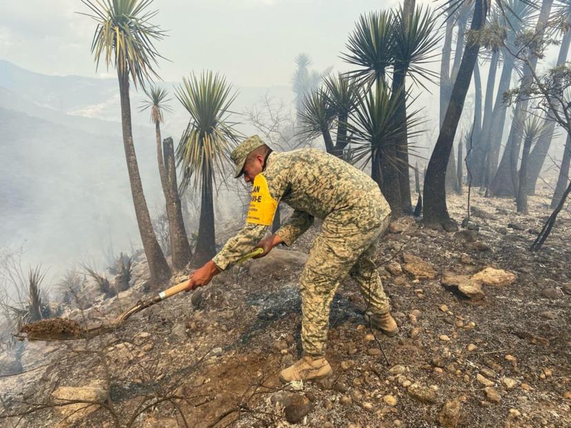 Se registra nuevamente incendio en el Cerro Colorado de Tehuacán