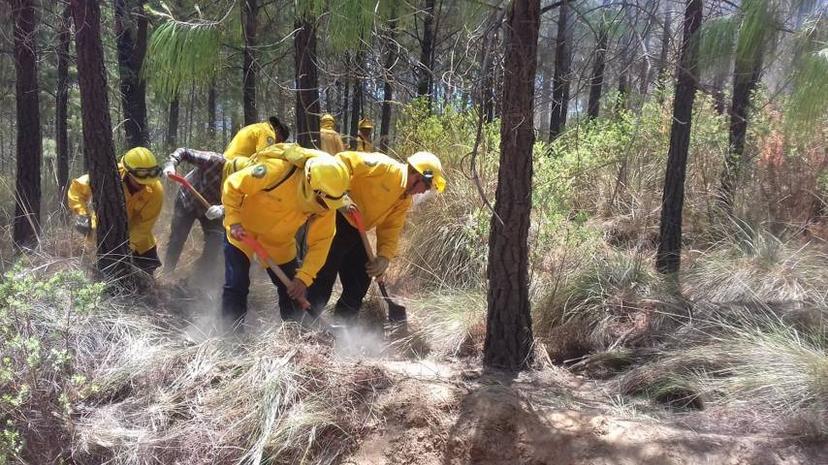 Condiciones climáticas favorecen incendios forestales: SGG