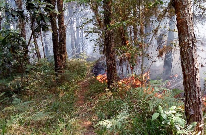 Incendios siniestran 30 hectáreas en Huauchinango