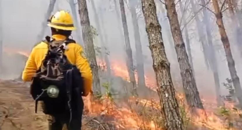 Incendio forestal en Coyomepan sin control, pobladores urgen apoyo