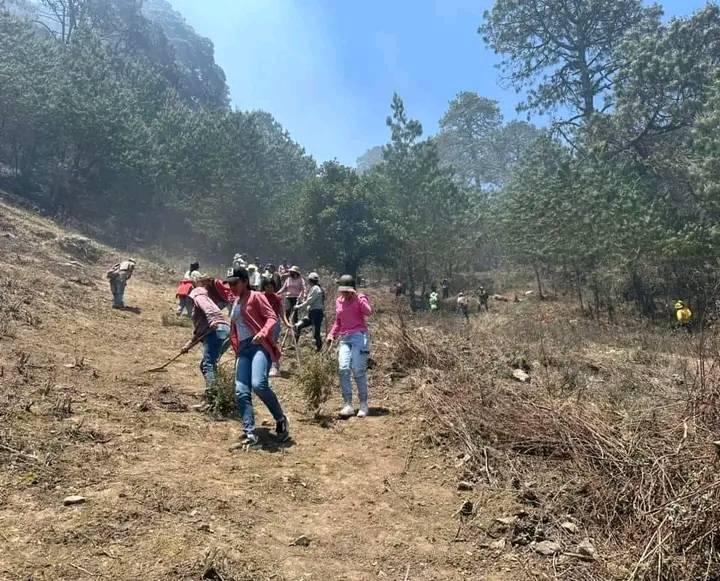 Sofocan al 100 por ciento incendio en Coyomepan