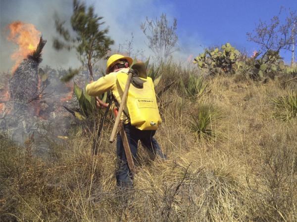 Puebla es quinto lugar nacional en casos de incendios forestales