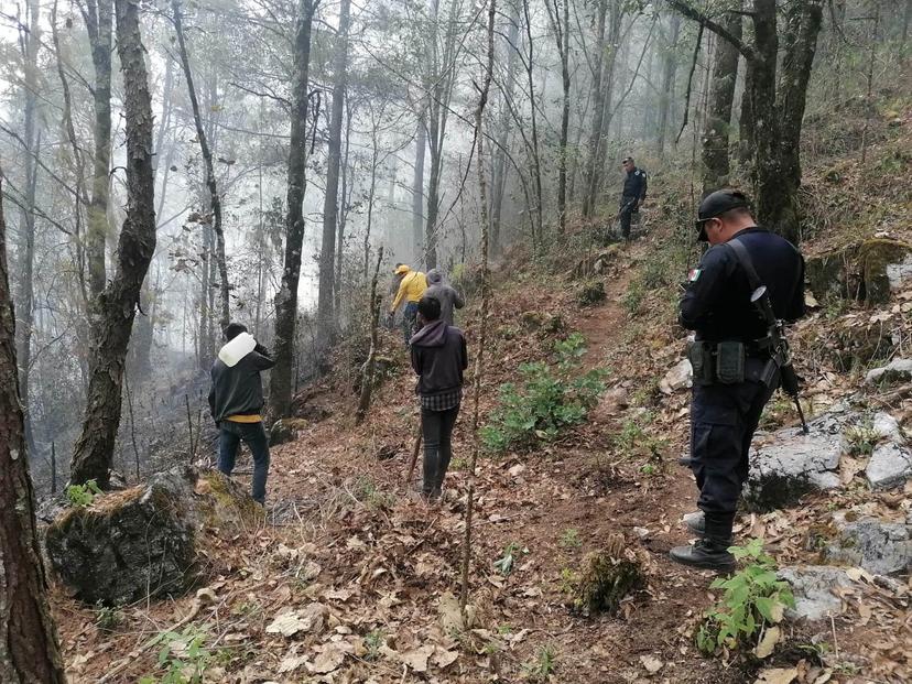 2 Incendios forestales arrasan con más de 8 hectáreas en la Sierra Negra 