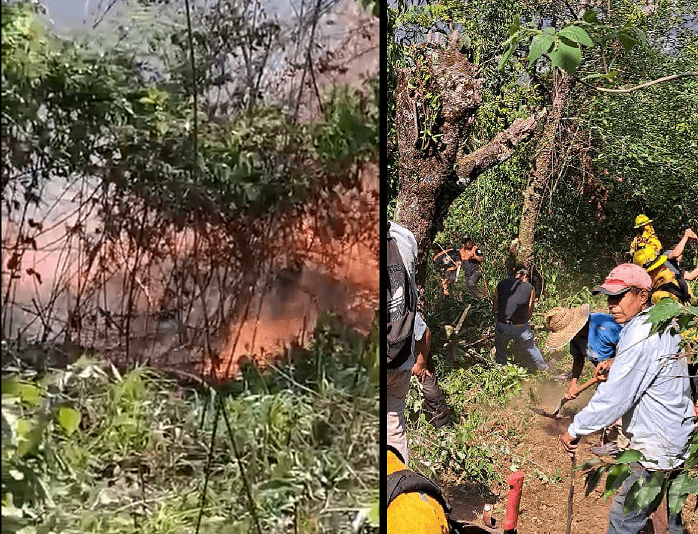 Incendio consume 35 hectáreas entre Teziutlán y Chignautla