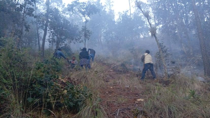Incendio forestal en Otzolotepec siniestró 35 hectáreas de plantas endémicas