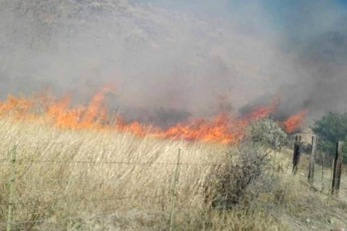 Incendios en lotes de baldíos, lo que más ocupa a Protección Civil Cholula