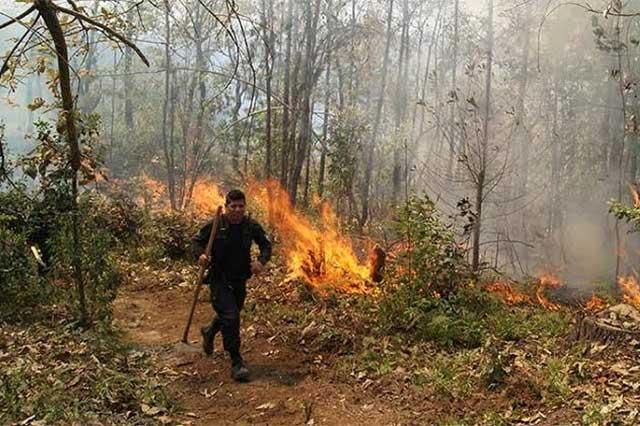 Piden 20 años de prisión para quien provoque incendios forestales