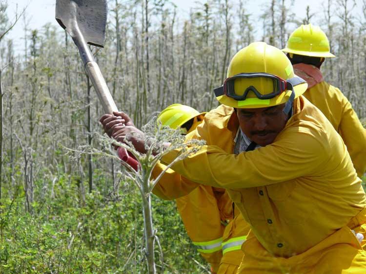 Cierra temporada de incendios con 511 siniestros en Puebla