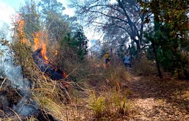 Se registra incendio en la zona del Vaquero en Teotlalcingo