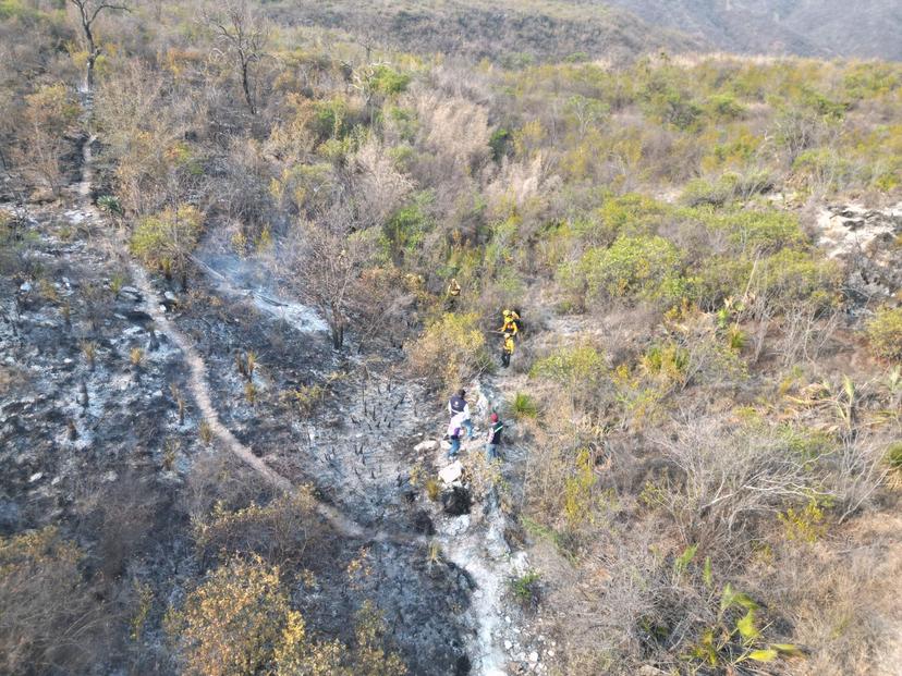 Apagan incendio de Ahuatempan y Tepexi; en Quimixtlán, al 50% de liquidación