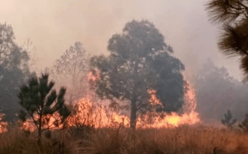 Registra la Malinche 4 incendios forestales en tan solo 24 horas