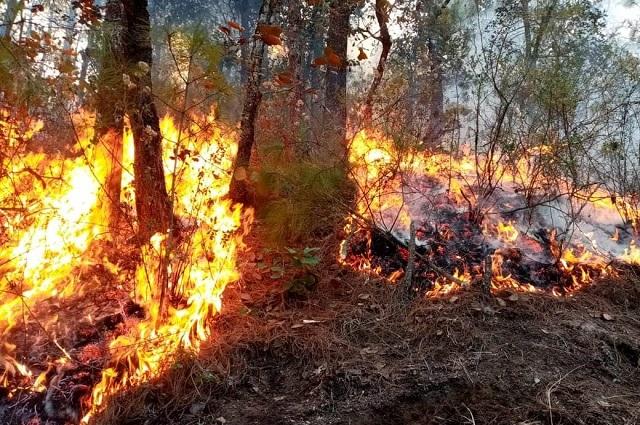 Niegan falta de equipo para abatir incendios en San Pedro Cholula