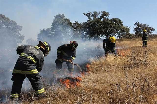 Extinguen cinco incendios forestales en las últimas horas