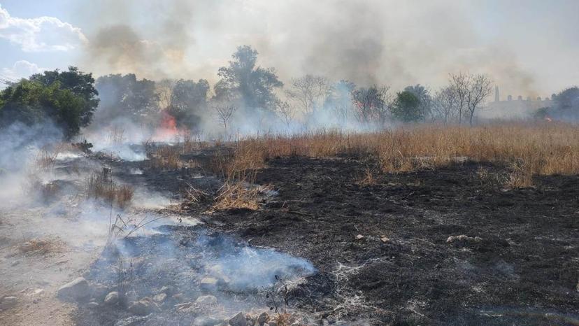 Suma Tehuacán más de 200 incendios en primer trimestre del año