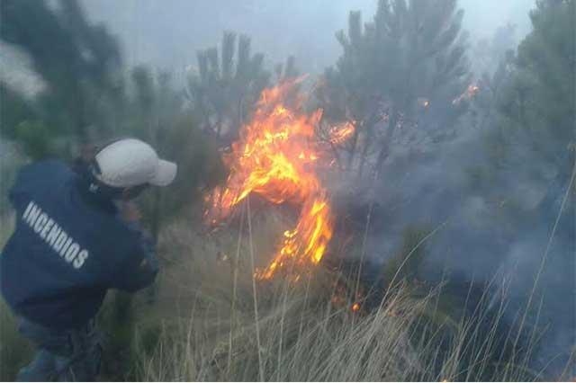 Exigen a AMLO atender y prevenir incendios forestales